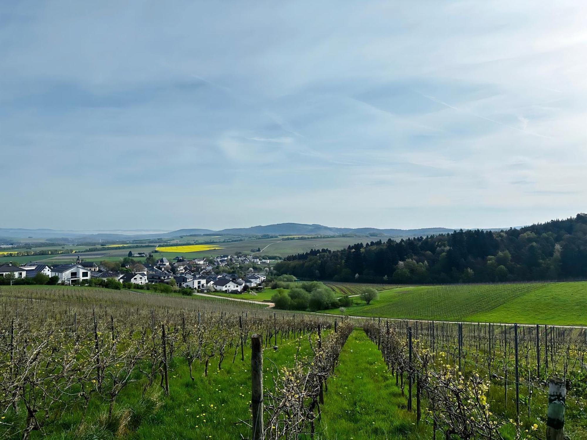 Ferienwohnung Moselherz - Urlaub Im Wein- Und Ferienort Bekond Exterior foto